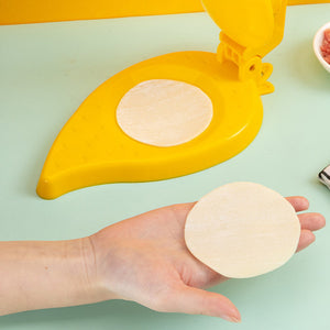Dumpling Wrapper Moulds