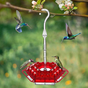 New Hummingbird Feeder