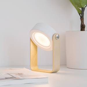 Modern Multi-Purpose Lamp