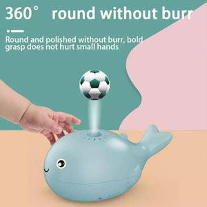 Dolphin Floating Ball Toy