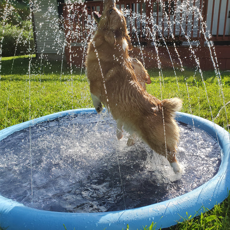 Dog Sprinkler Pool 59''x59''