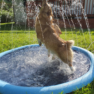 Dog Sprinkler Pool 59''x59''