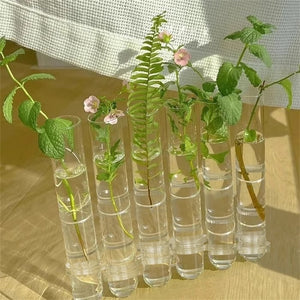 Hinged Flower Vase(6 pcs/8 pcs)