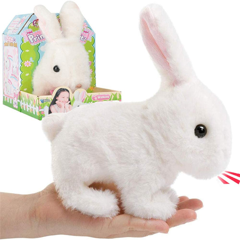 Interactive Simulation Toy