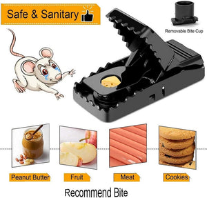 Heavy Duty Mouse Trap (6 pcs)