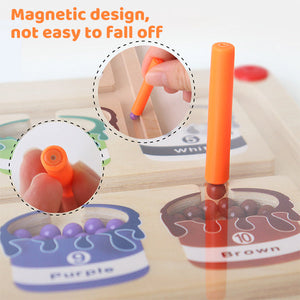 Magnetic Color and Number Maze