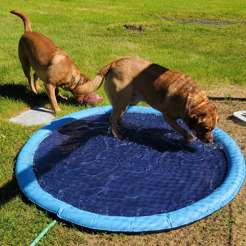 Dog Sprinkler Pool 59''x59''
