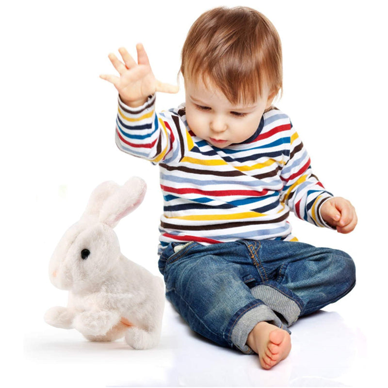 Interactive Simulation Toy