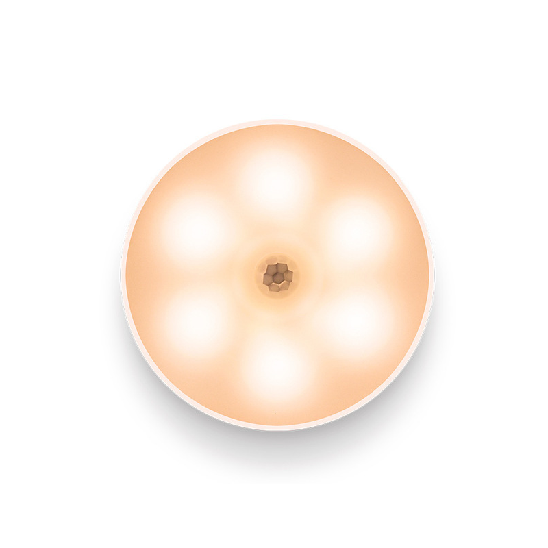 LED Motion Sensor Light