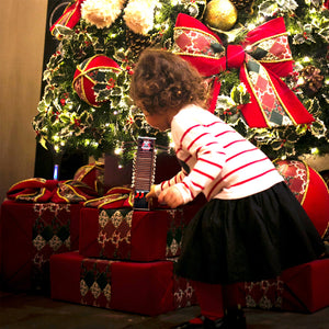 Santa Claus Down The Chimney Countdown Adventure Calendar