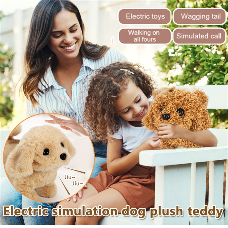 Interactive Simulation Toy