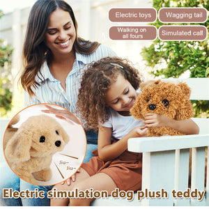 Interactive Simulation Toy