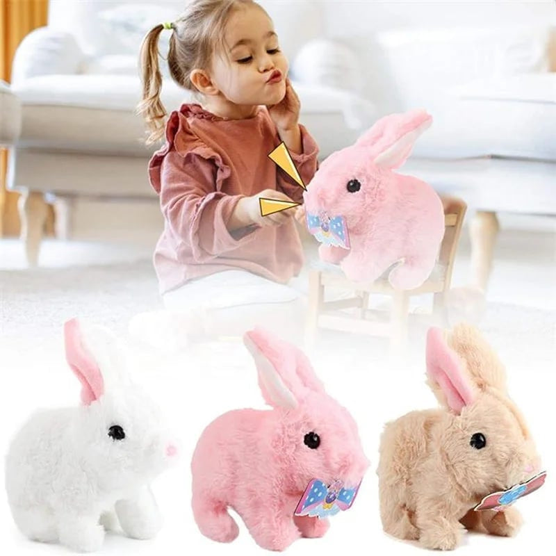Interactive Simulation Toy