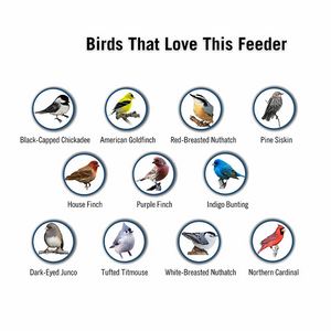 Proof Bird Feeder
