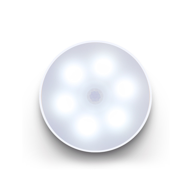 LED Motion Sensor Light