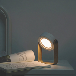 Modern Multi-Purpose Lamp
