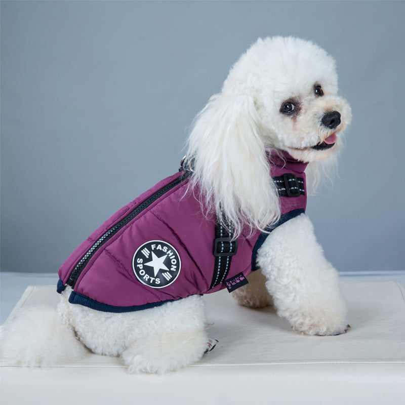 Waterproof Winter Jacket With Built-In Harness