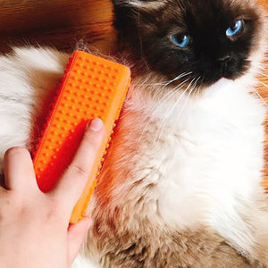 Pet Silicone Hair Remover