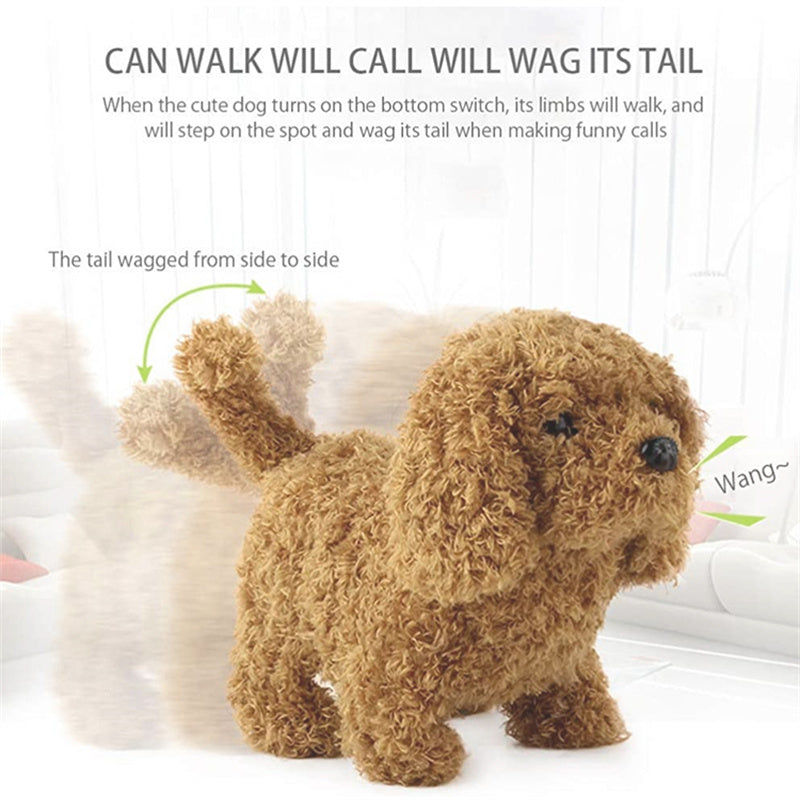 Interactive Simulation Toy
