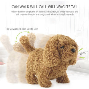 Interactive Simulation Toy