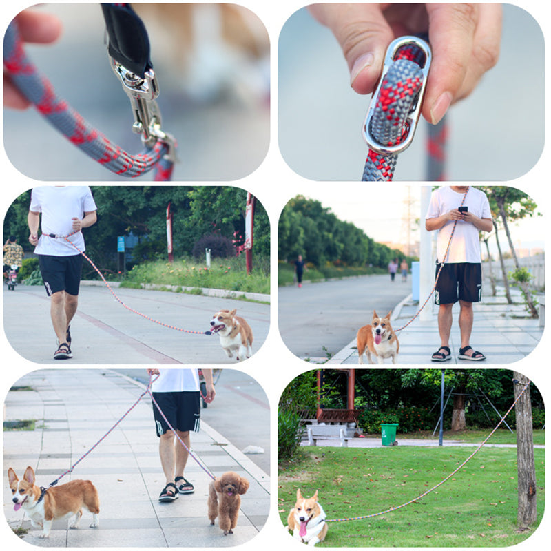 Hands Free Dog Leashes