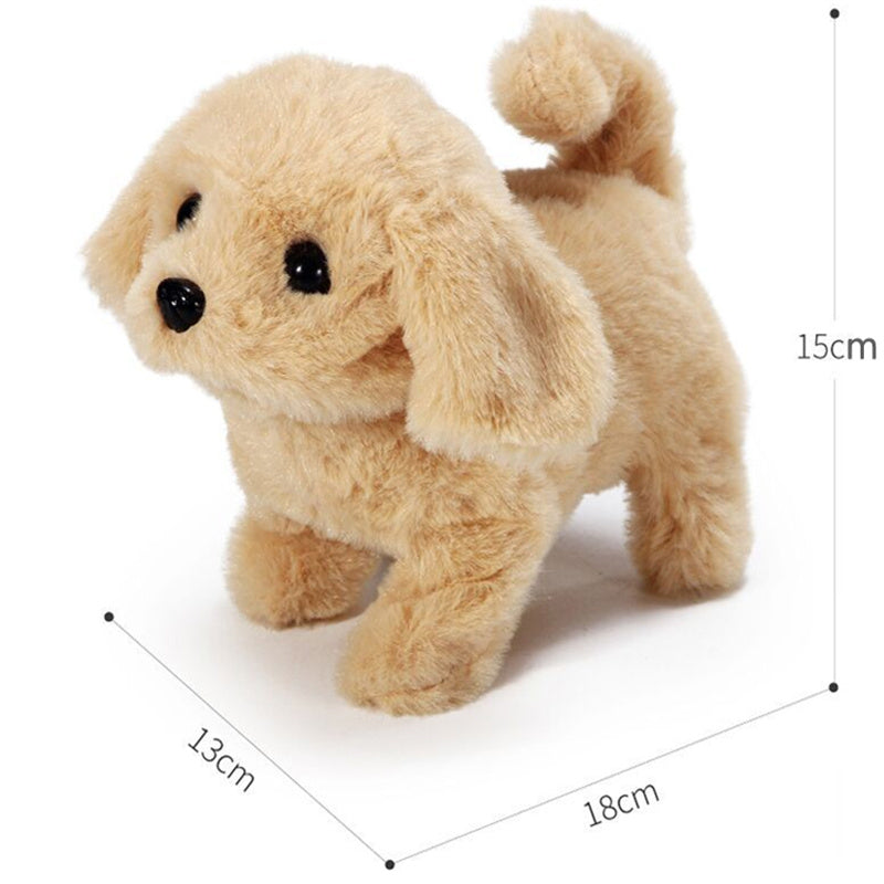 Interactive Simulation Toy