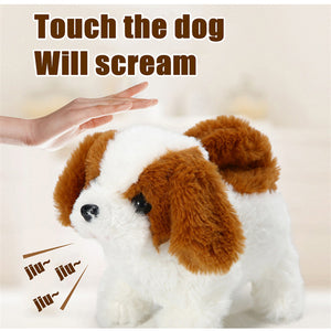 Interactive Simulation Toy