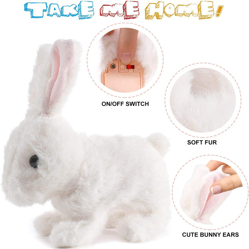 Interactive Simulation Toy