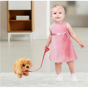 Interactive Simulation Toy