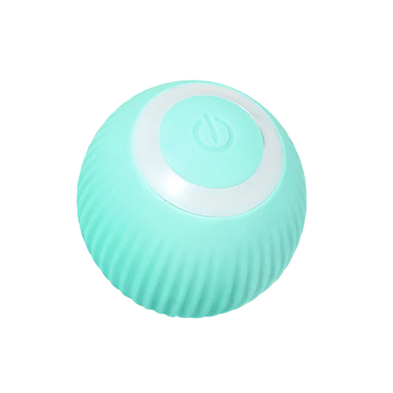 Interactive Ball Toys