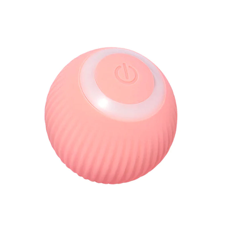 Interactive Ball Toys