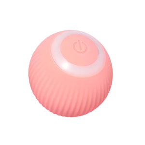 Interactive Ball Toys
