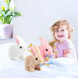 Interactive Simulation Toy