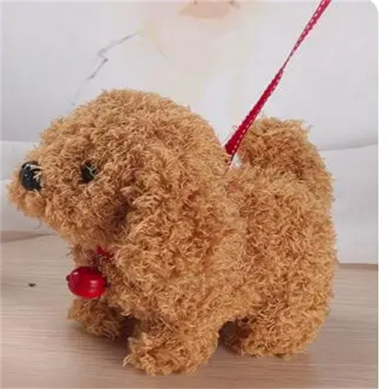 Interactive Simulation Toy