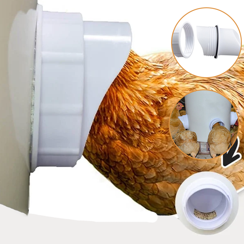 DIY Chicken Feeder