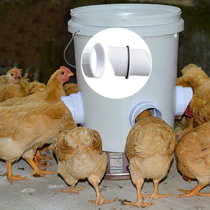 DIY Chicken Feeder