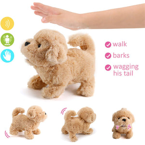 Interactive Simulation Toy