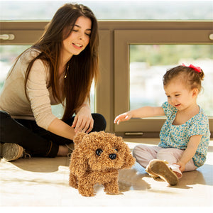 Interactive Simulation Toy