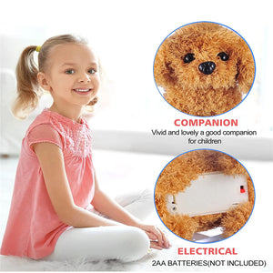 Interactive Simulation Toy