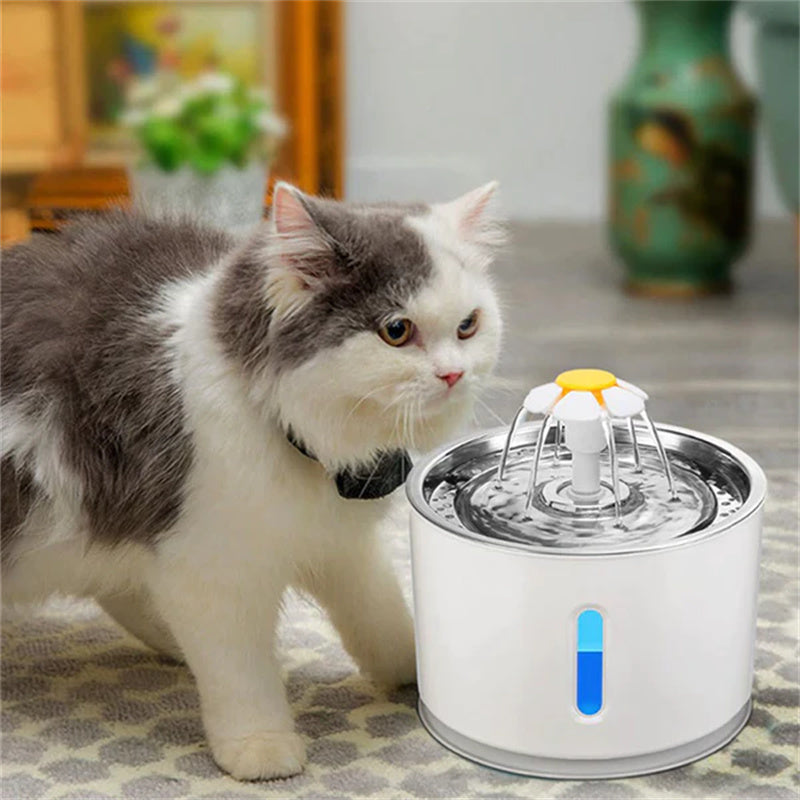 Deluxe Cat Water Fountain
