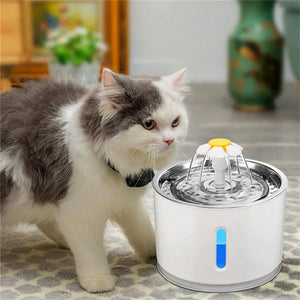 Deluxe Cat Water Fountain
